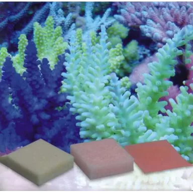Korallen Zucht Automatic Elements Amino Acid 10pcs