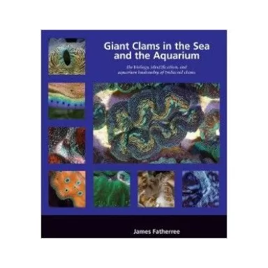 2LF Giant Clams in the Sea and the Aquarium