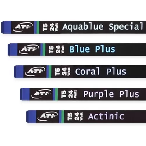 ATI - T5  Aquablue Special 39 watt