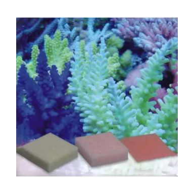 Korallen Zucht Automatic Elements K balance 10 pcs