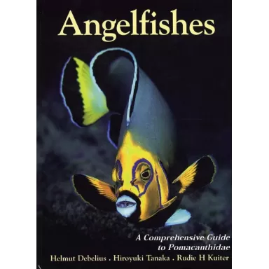 Angelfishes Guide