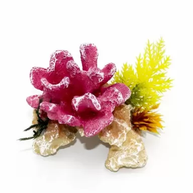 Kunstkoraal Blue belle Pacific Coral Rock Pink