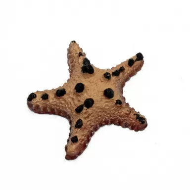 Kunstkoraal starfish choc chip