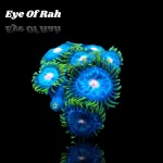 Zoanthus Eye Of Rah Frag S-size